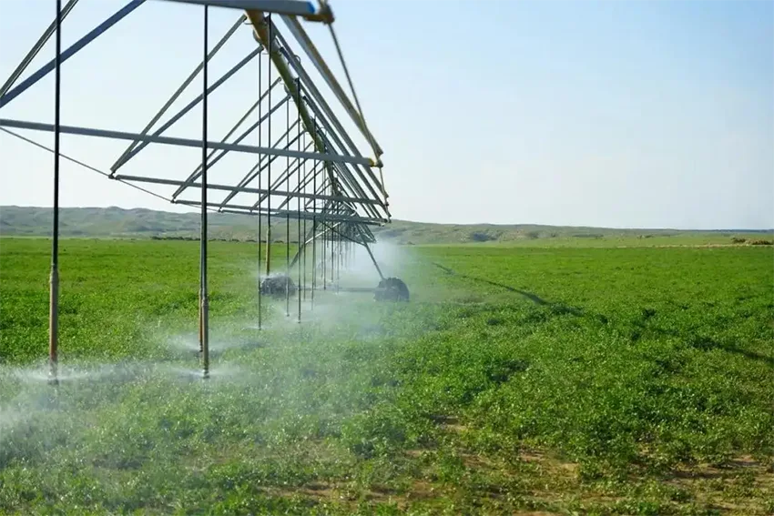 IoT water management in agriculture