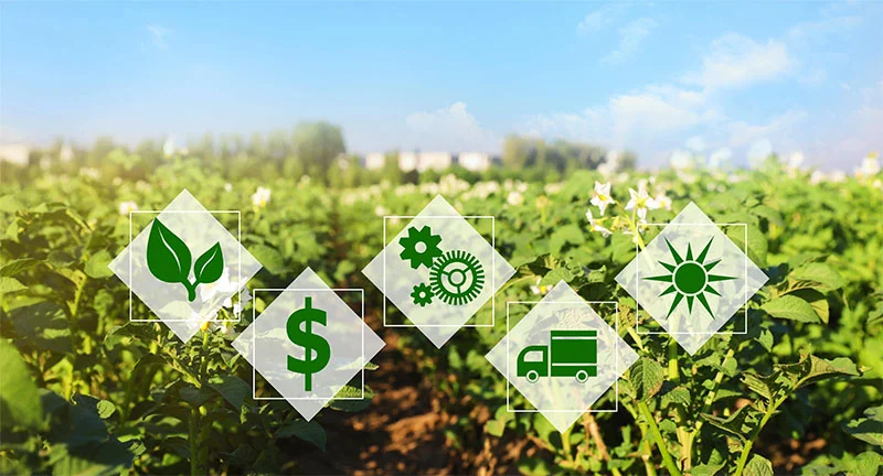 iot solutions - Smart agriculture  