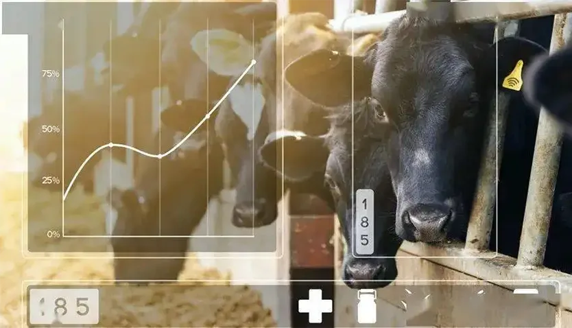 How does smart livestock Work?
