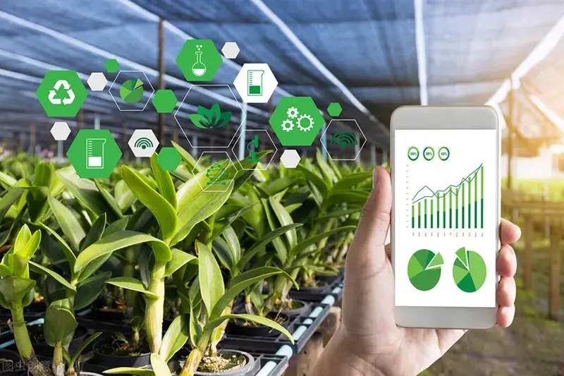 Precision and digital agriculture
