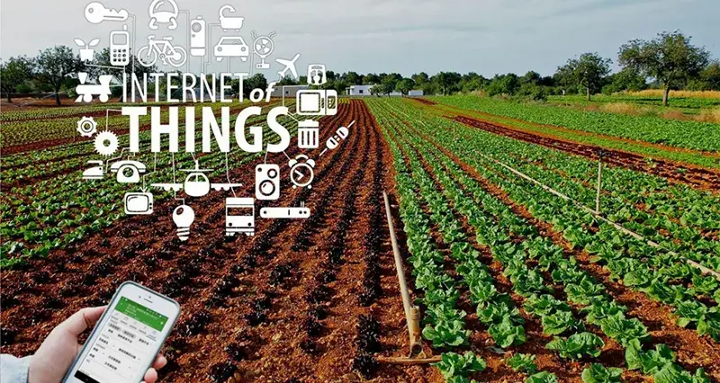 Challenges of smart agriculture  