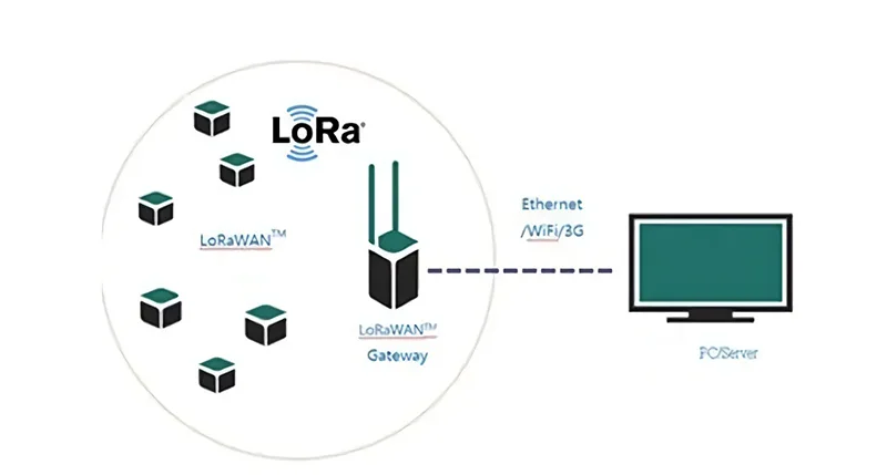 What are the LoRaWAN Applications