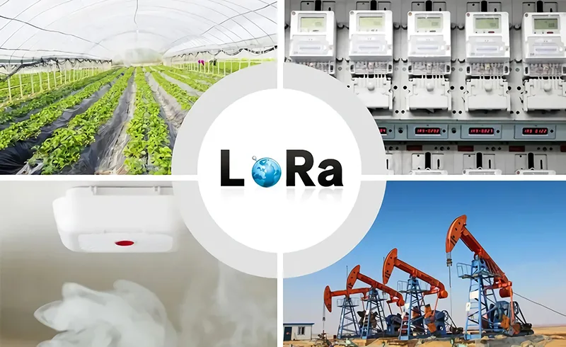 What can you do with LoRa network?